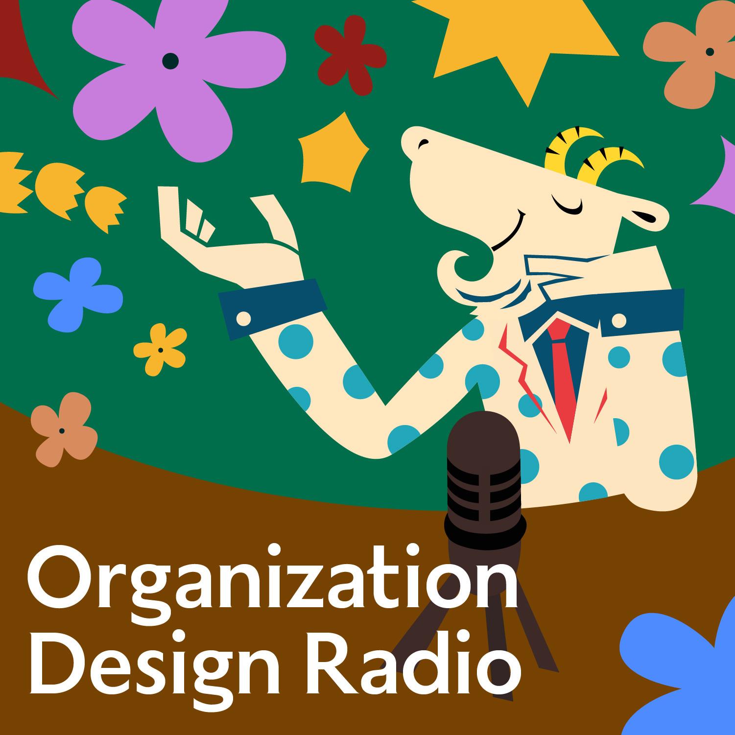 Organization design Radio